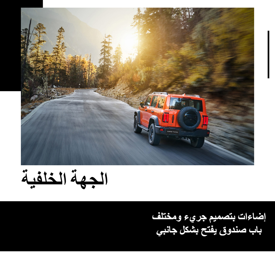 تانك-300-من-الخلف
